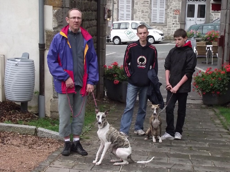 Nos chiens en vacances
