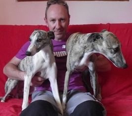 Nos chiens à la maison